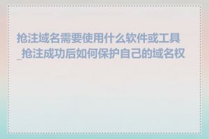 抢注域名需要使用什么软件或工具_抢注成功后如何保护自己的域名权益