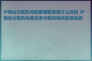 IP地址分配机构的管理框架是什么样的_IP地址分配机构是否参与制定相关标准和政策