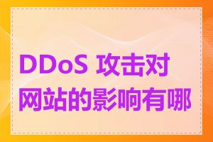 DDoS 攻击对网站的影响有哪些