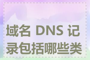 域名 DNS 记录包括哪些类型