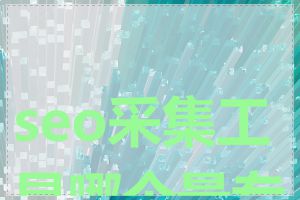 seo采集工具哪个最专业