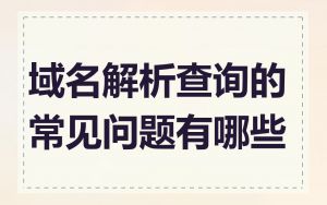 域名解析查询的常见问题有哪些