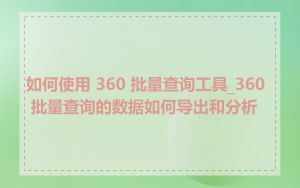 如何使用 360 批量查询工具_360 批量查询的数据如何导出和分析