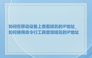 如何在移动设备上查看域名的IP地址_如何使用命令行工具查询域名的IP地址