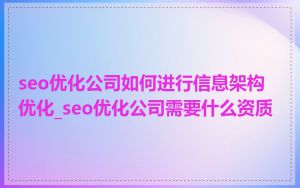 seo优化公司如何进行信息架构优化_seo优化公司需要什么资质