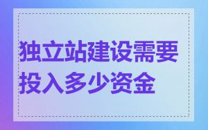 独立站建设需要投入多少资金