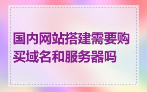 国内网站搭建需要购买域名和服务器吗