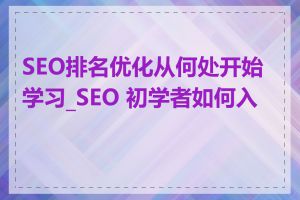 SEO排名优化从何处开始学习_SEO 初学者如何入门