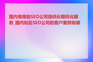 国内有哪些SEO公司提供长期优化服务_国内知名SEO公司的客户案例有哪些