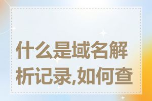 什么是域名解析记录,如何查询