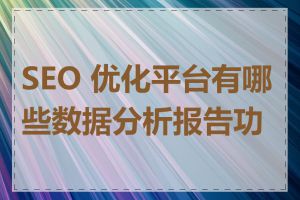 SEO 优化平台有哪些数据分析报告功能