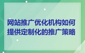 网站推广优化机构如何提供定制化的推广策略