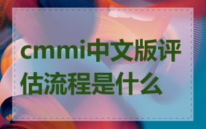 cmmi中文版评估流程是什么