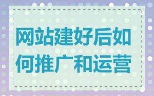 网站建好后如何推广和运营