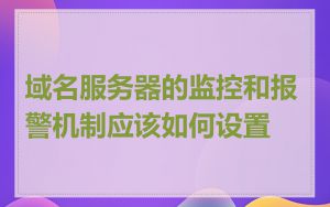 域名服务器的监控和报警机制应该如何设置