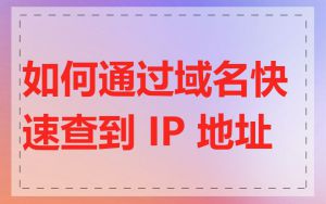 如何通过域名快速查到 IP 地址