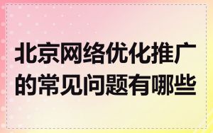 北京网络优化推广的常见问题有哪些