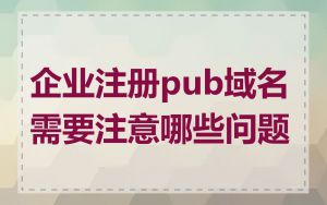 企业注册pub域名需要注意哪些问题