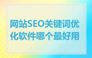 网站SEO关键词优化软件哪个最好用