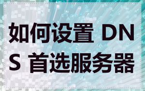 如何设置 DNS 首选服务器