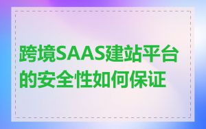 跨境SAAS建站平台的安全性如何保证