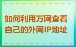 如何利用万网查看自己的外网IP地址