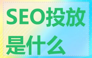 SEO投放是什么