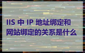 IIS 中 IP 地址绑定和网站绑定的关系是什么