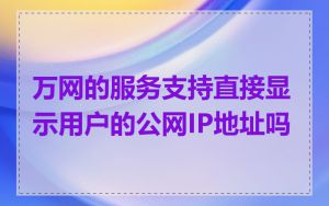 万网的服务支持直接显示用户的公网IP地址吗