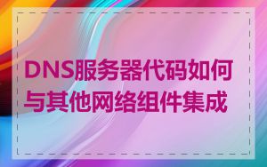 DNS服务器代码如何与其他网络组件集成