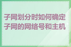 子网划分时如何确定子网的网络号和主机号