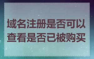 域名注册是否可以查看是否已被购买