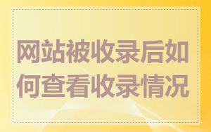 网站被收录后如何查看收录情况