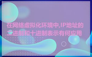 在网络虚拟化环境中,IP地址的二进制和十进制表示有何应用