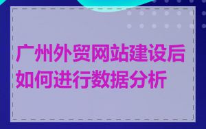 广州外贸网站建设后如何进行数据分析