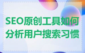 SEO原创工具如何分析用户搜索习惯