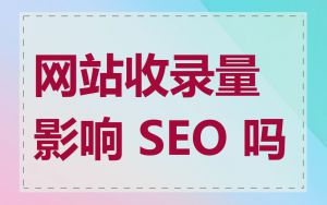 网站收录量影响 SEO 吗