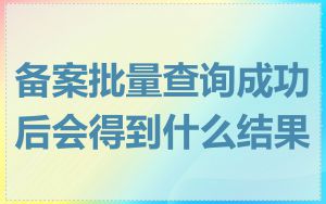 备案批量查询成功后会得到什么结果