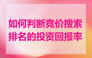 如何判断竞价搜索排名的投资回报率