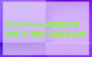 WordPress 网站如何将访客 IP 地址记录到日志中