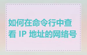 如何在命令行中查看 IP 地址的网络号