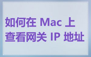 如何在 Mac 上查看网关 IP 地址