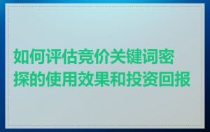 如何评估竞价关键词密探的使用效果和投资回报