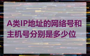 A类IP地址的网络号和主机号分别是多少位