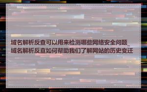 域名解析反查可以用来检测哪些网络安全问题_域名解析反查如何帮助我们了解网站的历史变迁