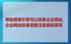 哪些搜索引擎可以收录企业网站_企业网站收录需要注意哪些事项