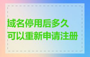 域名停用后多久可以重新申请注册