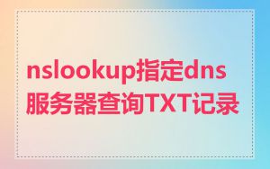 nslookup指定dns服务器查询TXT记录