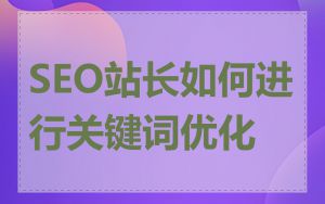 SEO站长如何进行关键词优化