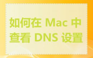 如何在 Mac 中查看 DNS 设置